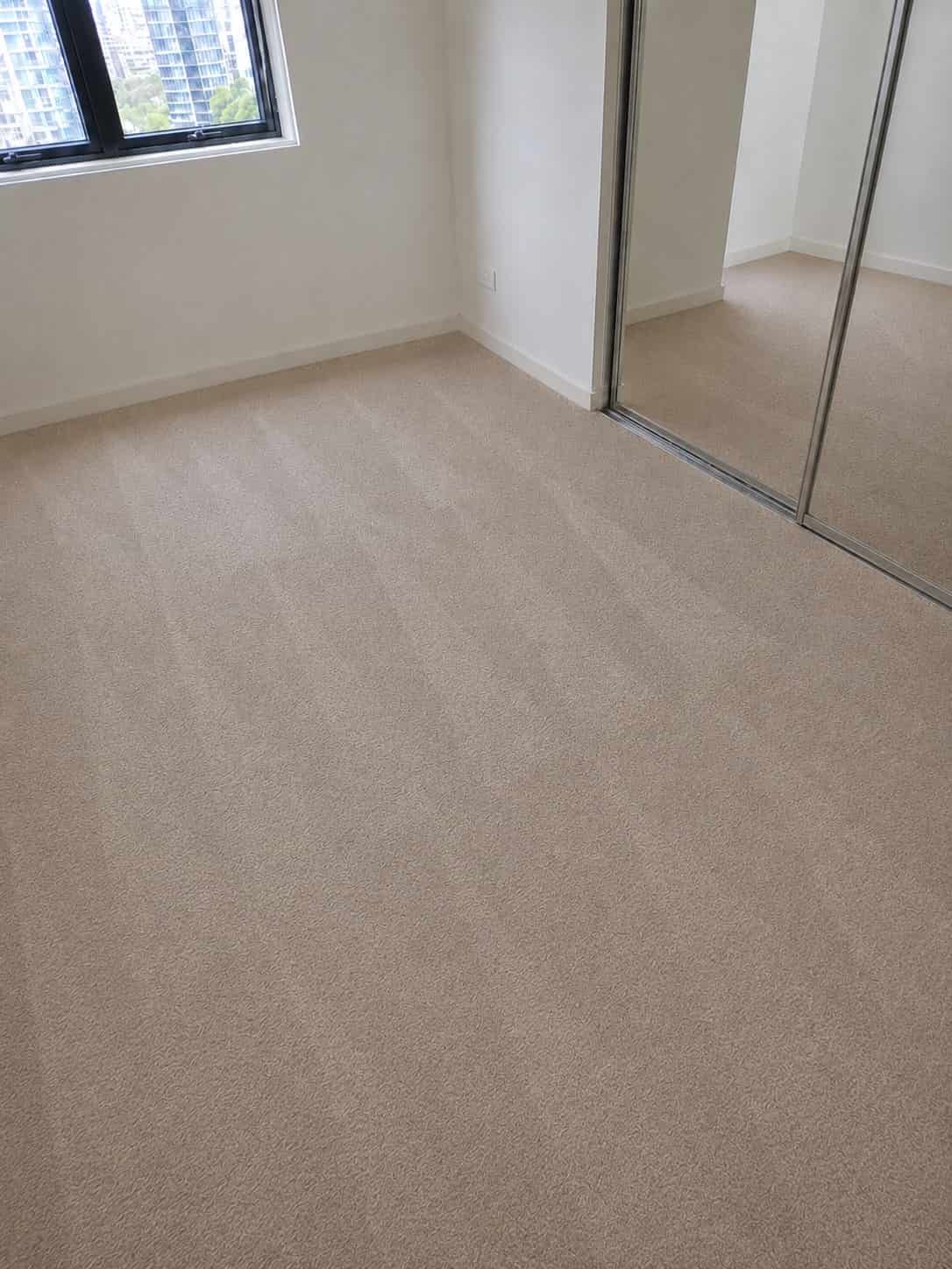 after carpet cleaning in sydney after carpet cleaning in sydney