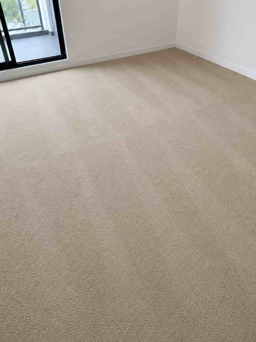 after carpet cleaning process after carpet cleaning process