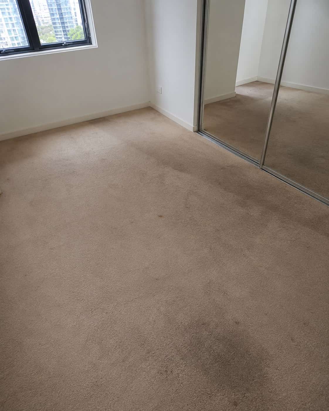 before carpet cleaning in sydney before carpet cleaning in sydney