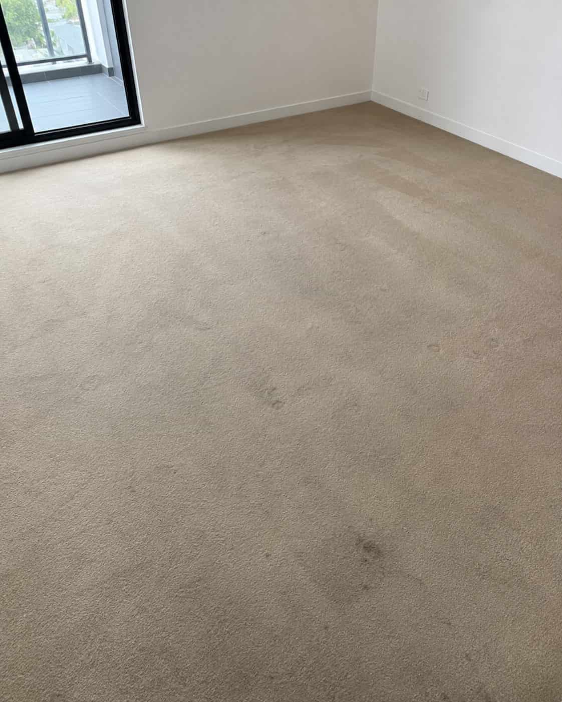 before carpet cleaning process before carpet cleaning process