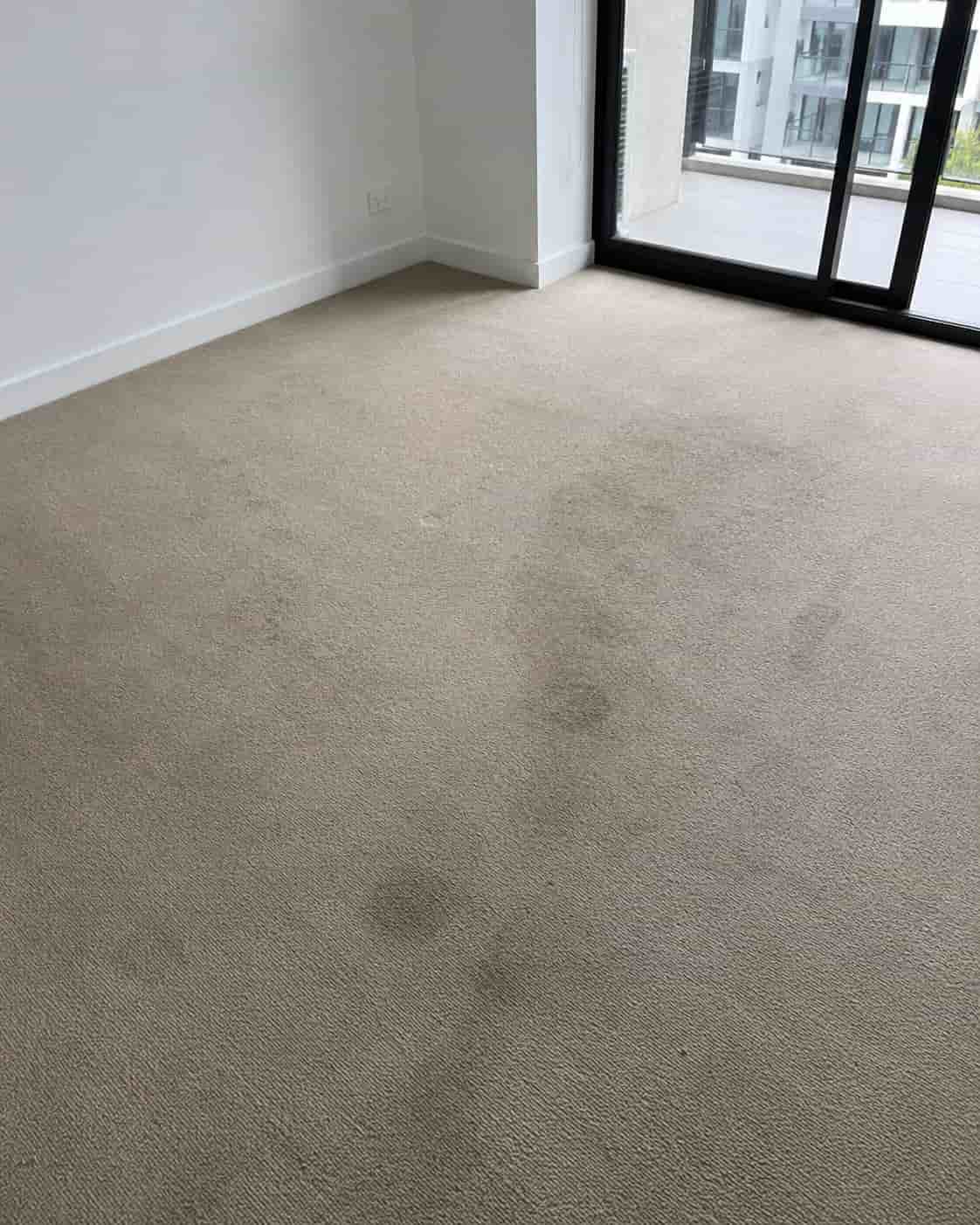 before carpet cleaning sydney before carpet cleaning sydney