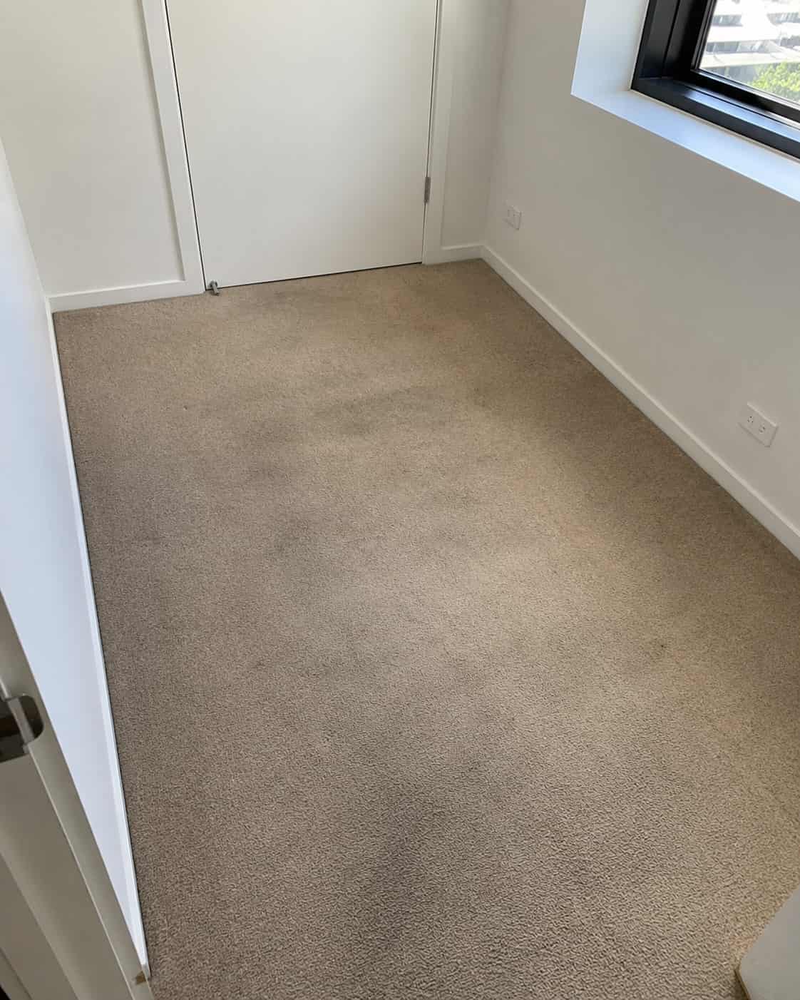 before carpet cleaning before carpet cleaning