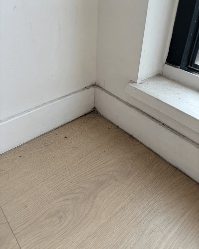 before house cleaning before house cleaning