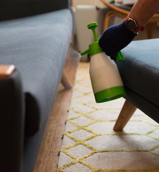 Couch cleaning near you