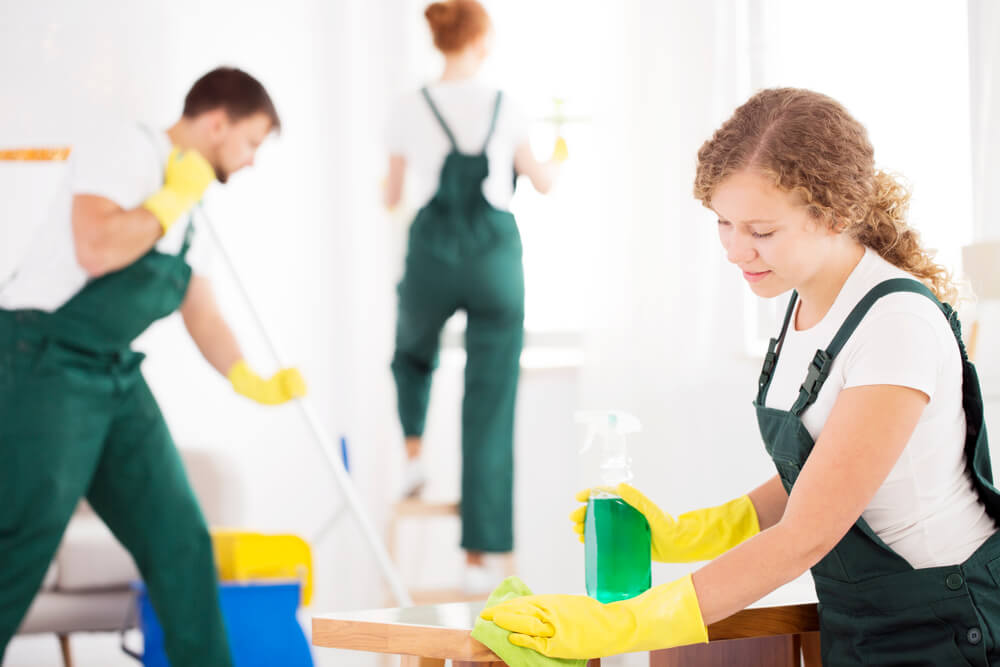 Domestic Cleaning Services Tailored To Your Needs