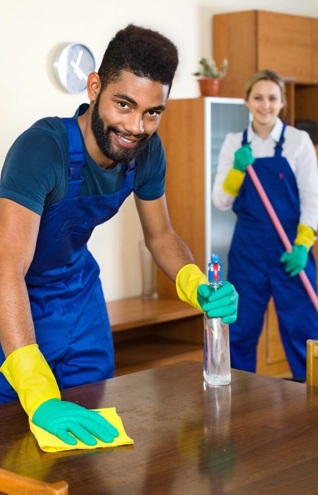 domestic-cleaning-services-in-sydney domestic-cleaning-services-in-sydney
