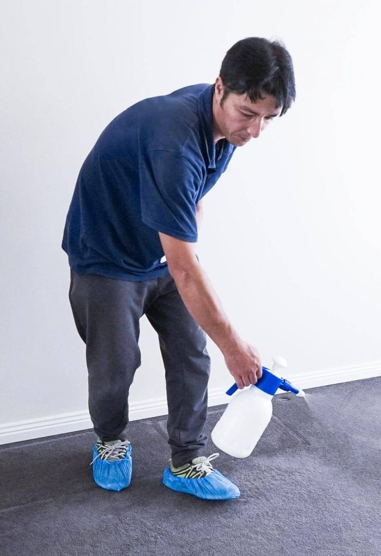 Safe & Effective Carpet Cleaning in Sydney Paul's Cleaning