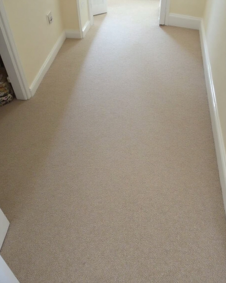 carpet cleaning guildford carpet cleaning guildford
