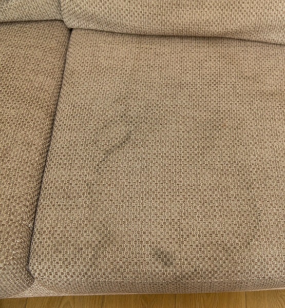 Couch cleaning - before