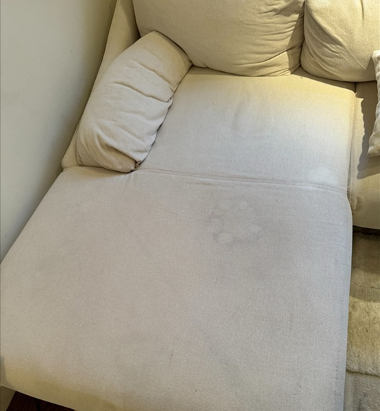 Upholstery clean - before