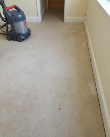 carpet cleaning add-ons in denham court