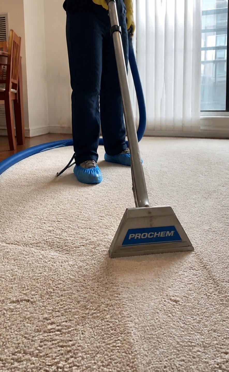 carpet cleaning in austral