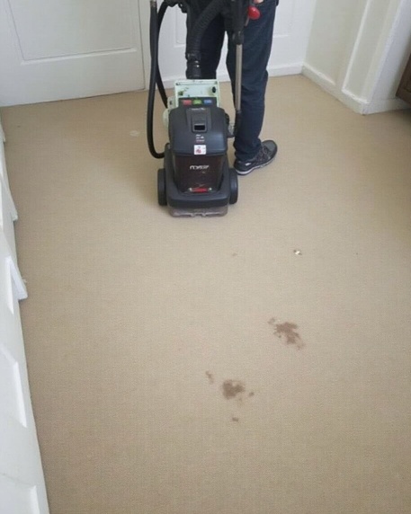 carpet cleaning process in austral