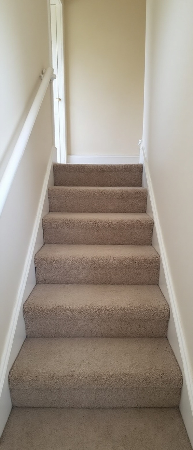 carpet cleaning service in caringbah